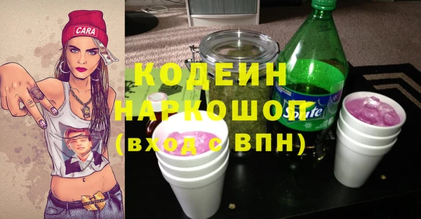 индика Куйбышев